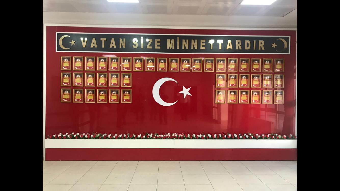Hayrettin Haluk Akkoyunlu
